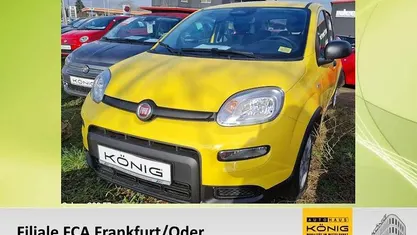 Gelb Gebraucht 2024 Fiat Panda Kleinwagen | 12.688 € (Fairer Preis)