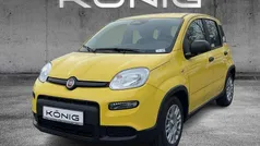 Gelb Gebraucht 2024 Fiat Panda Kleinwagen | 14.577 € (Fairer Preis)