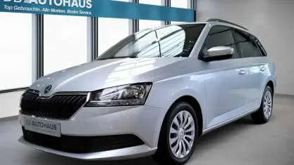 Gebraucht Skoda Fabia Ambition 95 PS (69 kW) 2022 Silber Kleinwagen