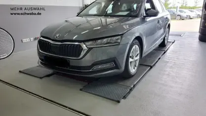 Gebraucht Skoda Octavia Style 150 PS (110 kW) 2023 Grau Kombi