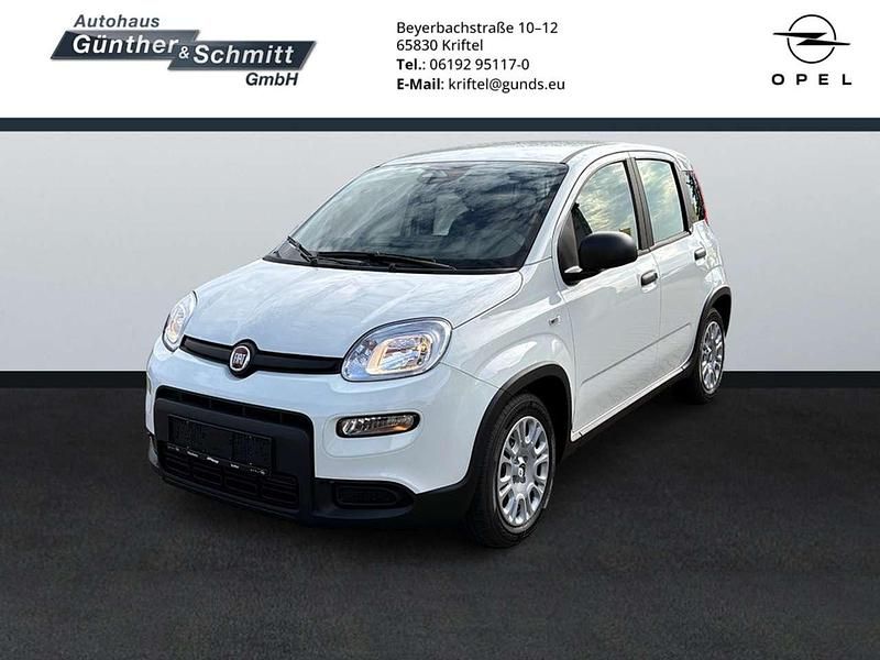 Weiß Gebraucht 2024 Fiat Panda Limousine | 15.660 € (Etwas zu teuer) - Bild 1/4