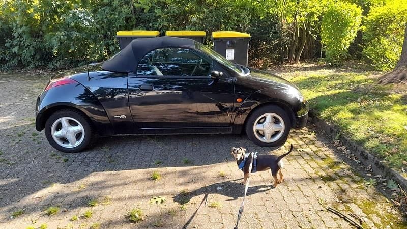 Gebraucht Ford StreetKa 70 PS (51 kW) 2003 Schwarz Cabrio