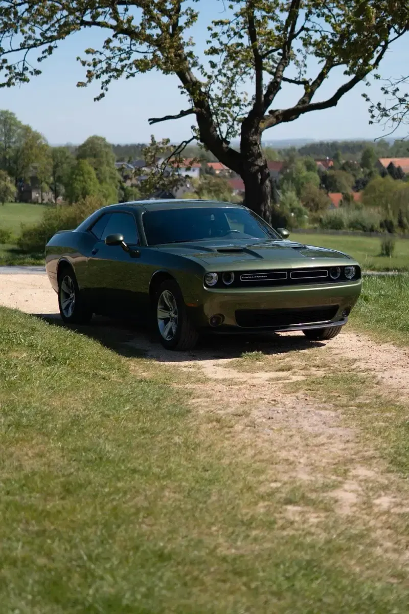 Gebraucht Dodge Challenger 309 PS (227 kW) 2022 Grün Coupé