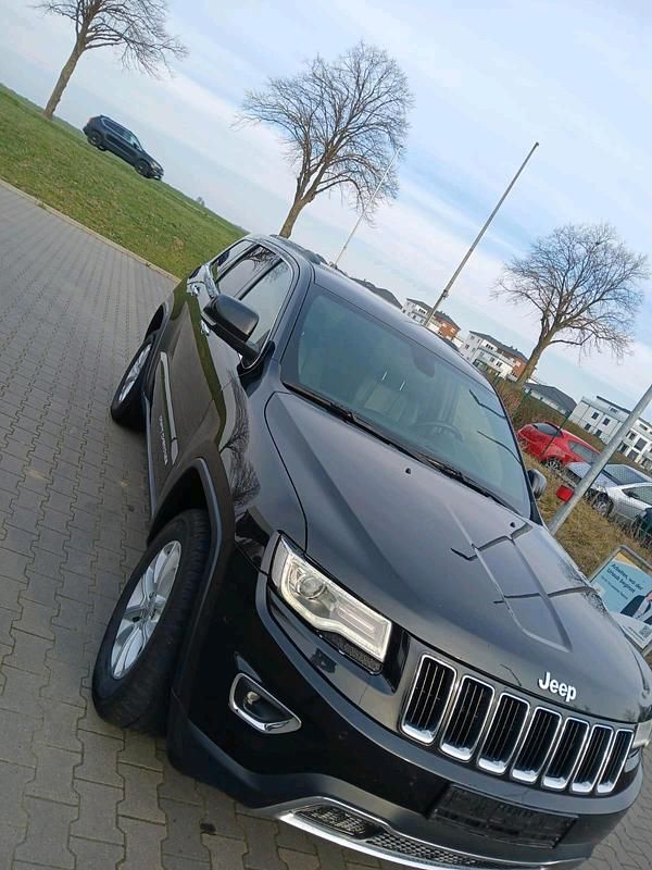 Gebraucht Jeep Cherokee 250 PS (183 kW) 2023 Schwarz SUV