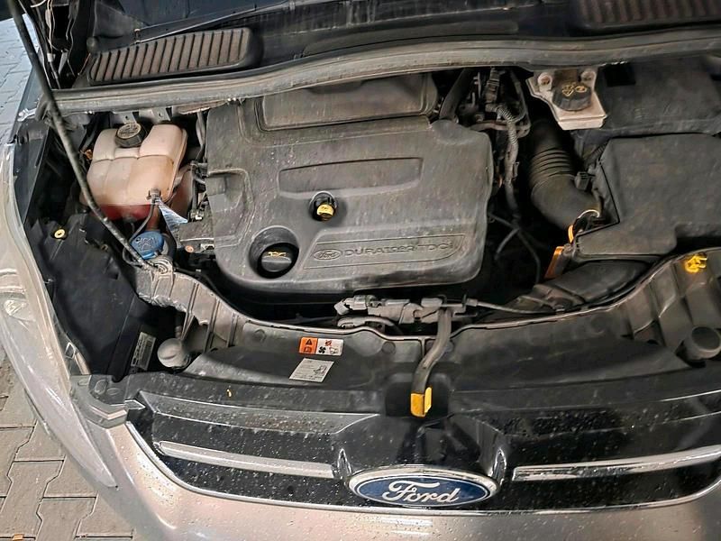 Usata Ford C-MAX 140 CV (102 kW) 2014 Marrone Monovolume