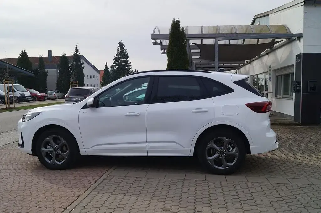 Neu Ford Kuga ST-Line 186 PS (136 kW) 2026 Frostweiß SUV