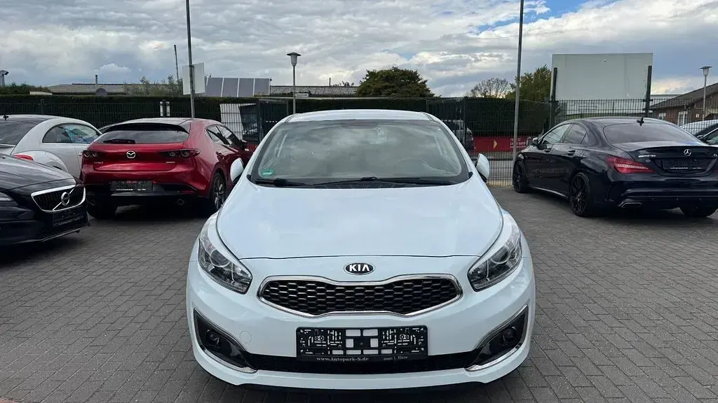 Gebraucht Kia ProCeed 135 PS (99 kW) 2017 Weiß Kleinwagen