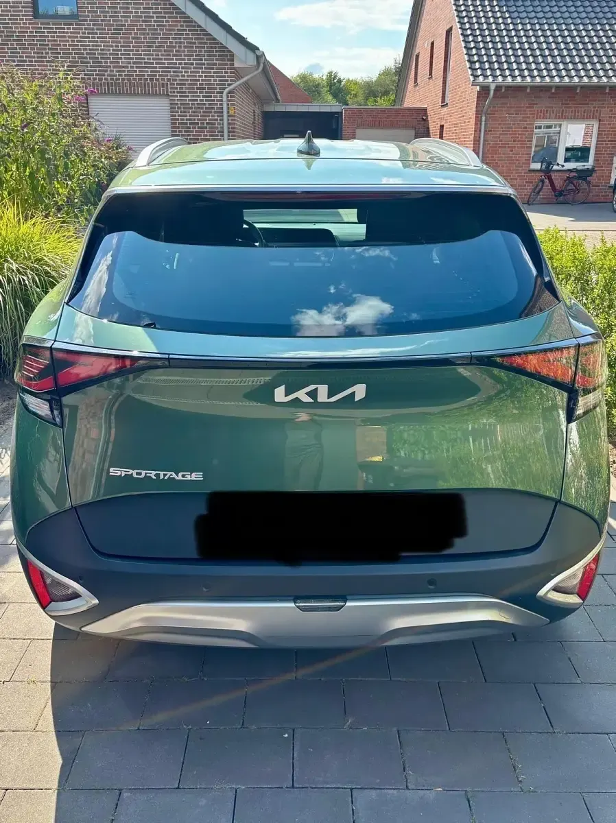 Gebraucht Kia Sportage Edition 7 150 PS (110 kW) 2023 Grün SUV