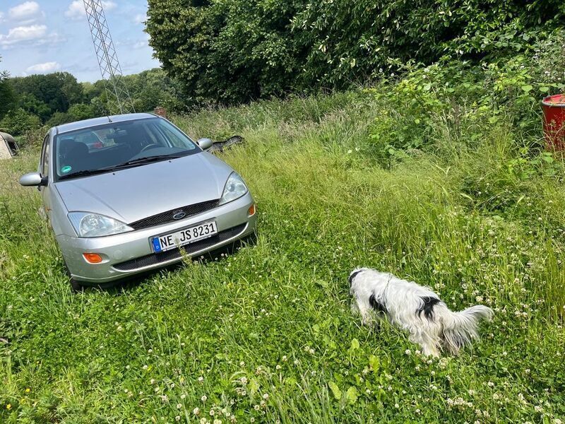 Silber Gebraucht 2000 Ford Focus Futura Limousine | 1.300 € (Guter Preis) - Bild 1/1