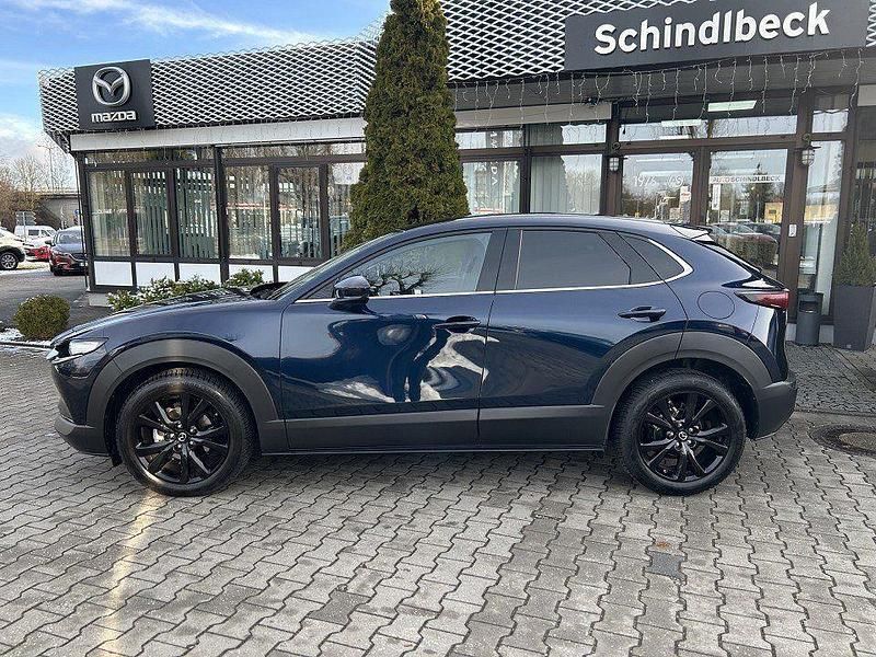 Gebraucht Mazda CX-30 122 PS (89 kW) 2024 Deep crystal blue (metallic) SUV