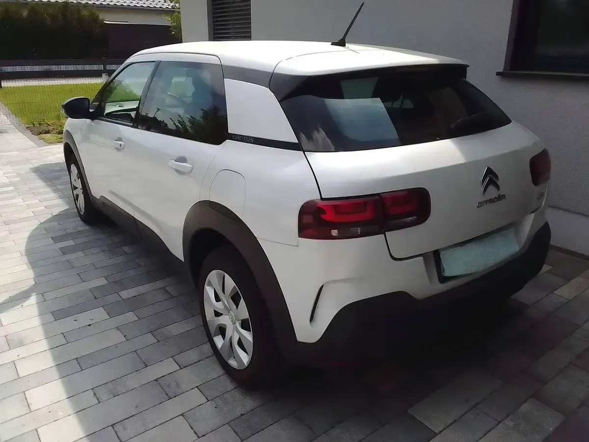 Gebraucht Citroën C4 Cactus PureTech 110 PS (80 kW) 2020 Weiß Kleinwagen