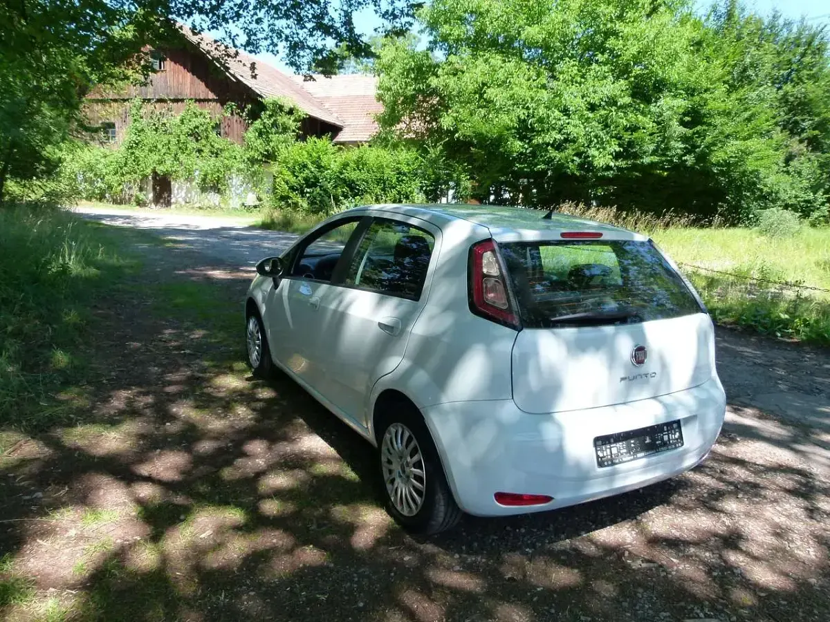 Gebraucht Fiat Punto Evo Active 68 PS (50 kW) 2013 Weiß Kleinwagen