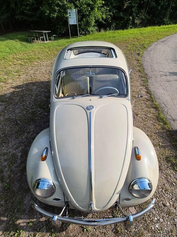 Gebraucht VW Käfer 34 PS (25 kW) 1965 Beige