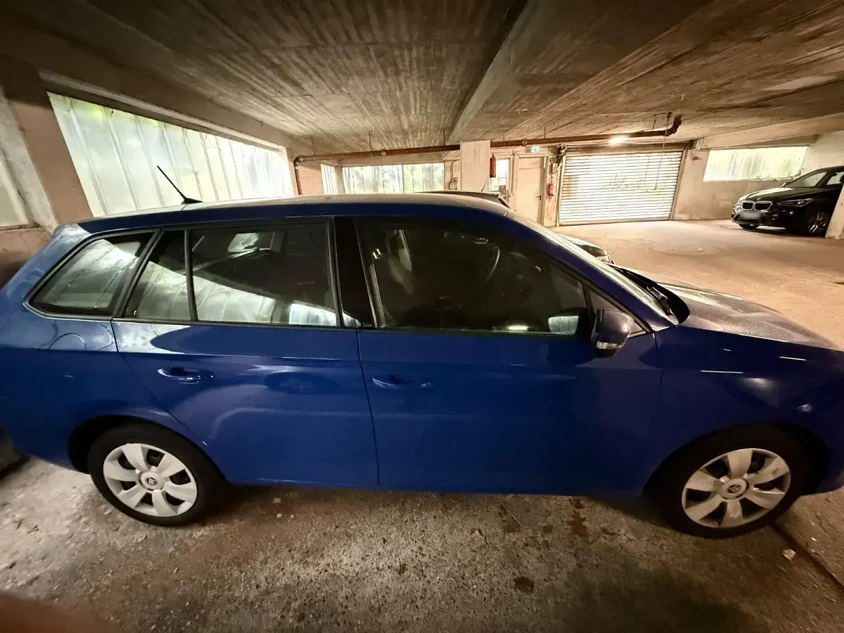 Gebraucht Skoda Fabia Active 95 PS (69 kW) 2019 Blau Kleinwagen