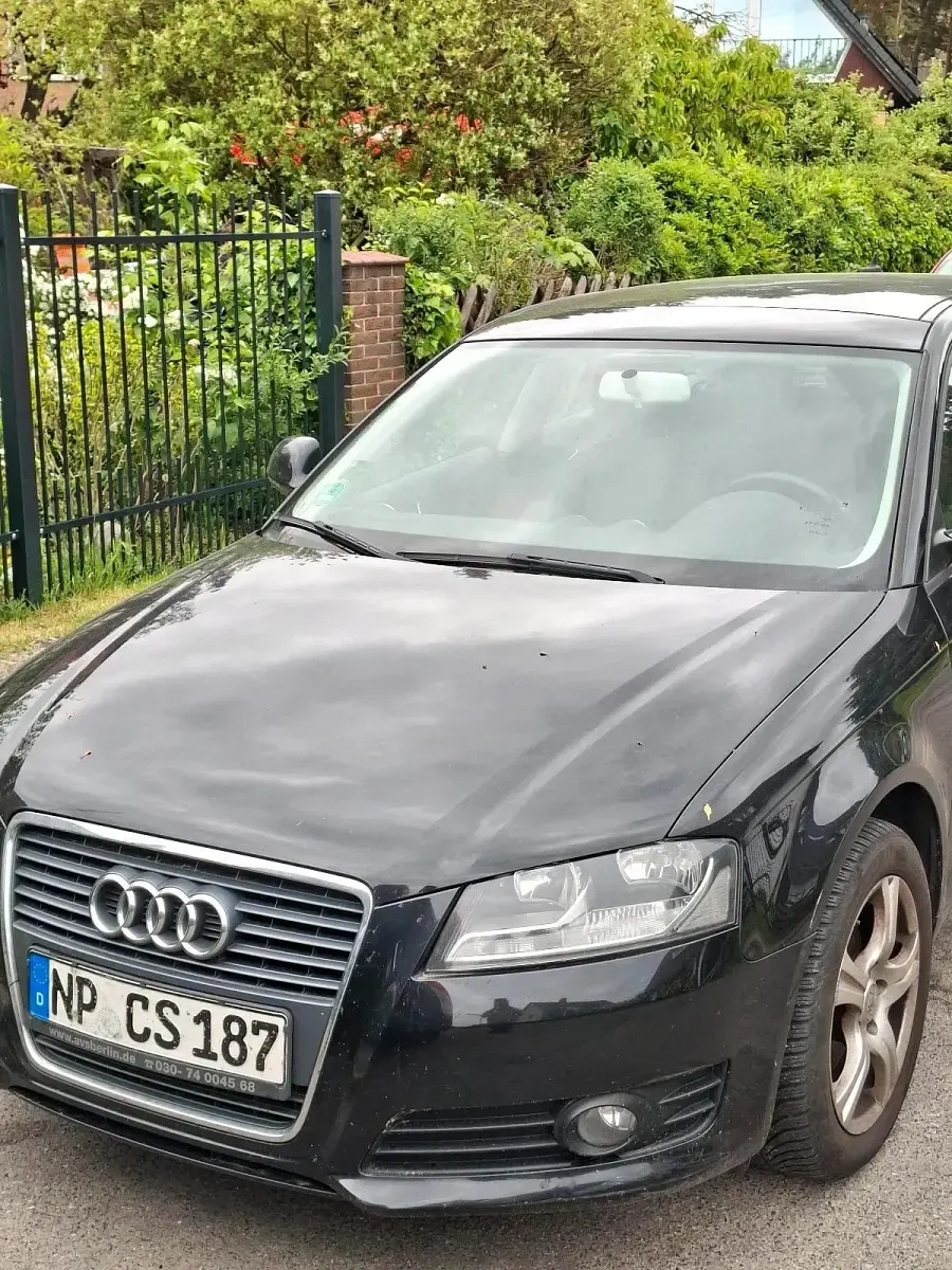 Używany Audi A3 140 KM (102 kW) 2010 Niebieski Hatchback