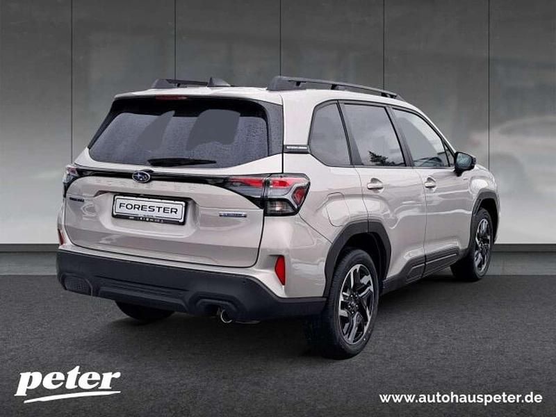 Gebraucht Subaru Forester Active 136 PS (100 kW) 2026 Cashmere gold opal SUV