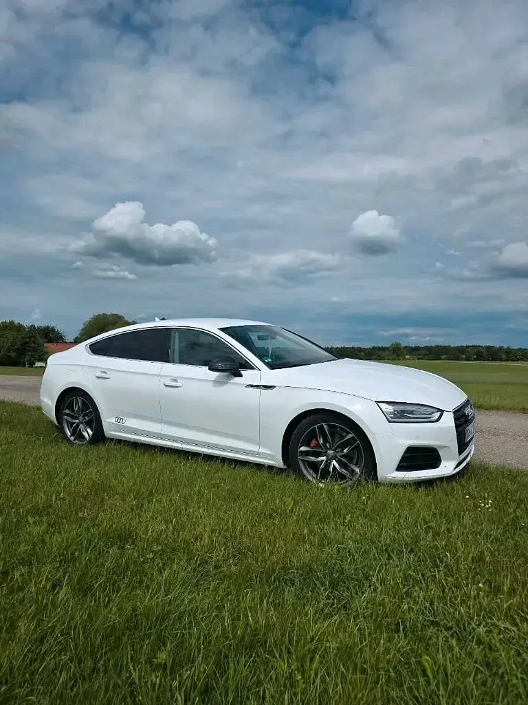 Gebraucht Audi A5 Sportback 110 PS (80 kW) 2017 Weiß Kleinwagen