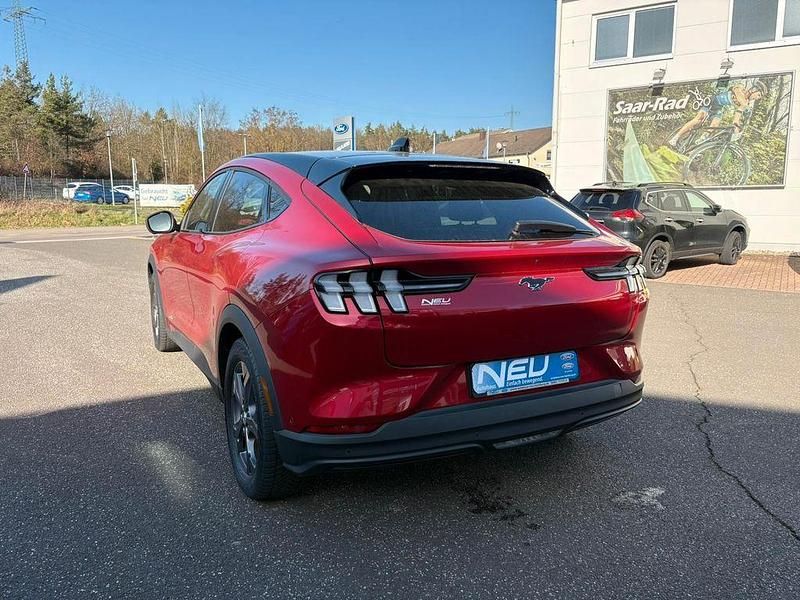 Gebraucht Ford Mustang Basis 269 PS (197 kW) 2021 Rot Limousine