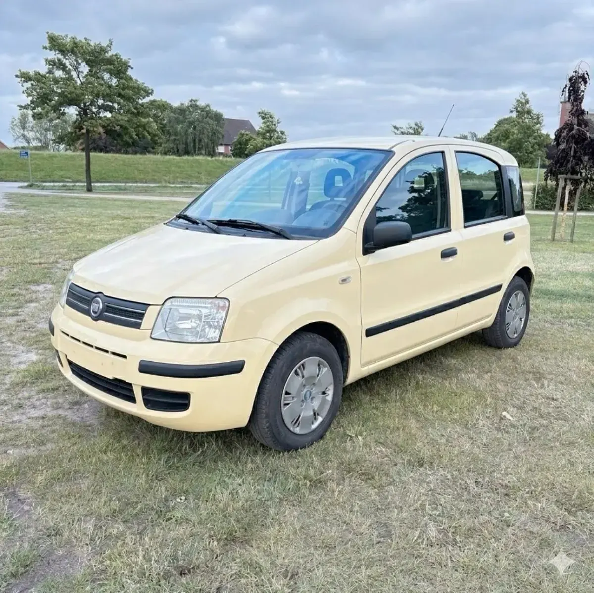 Gebraucht Fiat Panda Dynamic 60 PS (44 kW) 2009 Gelb Kleinwagen