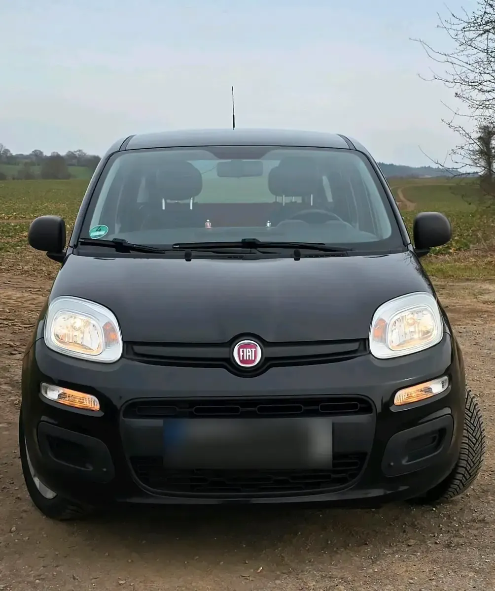 Gebraucht Fiat Panda 69 PS (50 kW) 2016 Schwarz Kleinwagen