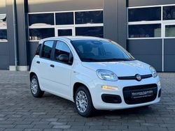Weiß Neu 2025 Fiat Panda Limousine | 13.799 € (Fairer Preis)