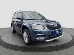 Grau Gebraucht 2016 Skoda Yeti Joy SUV | 16.900 € (Etwas zu teuer)