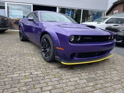 Plum crazy Neu 2024 Dodge Challenger Coupé | 62.790 €