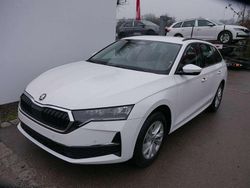Candyweiß Neu 2025 Skoda Octavia Selection Kombi | 33.790 € (Guter Preis)