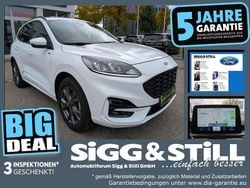 Frostweiß Gebraucht 2022 Ford Kuga ST-Line SUV | 22.250 € (Superpreis)