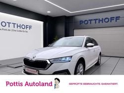 Candyweiss Gebraucht 2023 Skoda Octavia Style Kombi | 22.997 € (Guter Preis)