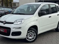 Colore esterno (weiss) Gebraucht 2019 Fiat Panda Kleinwagen | 9.199 € (Fairer Preis)