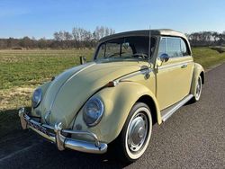 Yuckon yellow Gebraucht 1966 VW Käfer Cabrio | 28.500 €