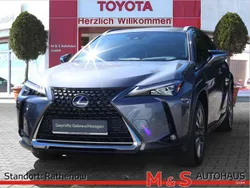 Grau Gebraucht 2021 Lexus UX 300e SUV | 25.990 € (Fairer Preis)