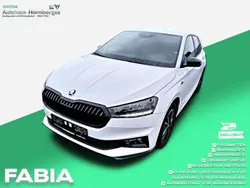Moonweiss metallic Neu 2024 Skoda Fabia Monte Carlo Kleinwagen | 22.990 € (Fairer Preis)
