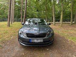 Grau Gebraucht 2018 Skoda Octavia Clever Limousine | 13.900 € (Guter Preis)
