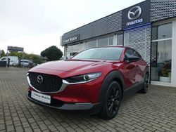 Neu 2025 Mazda CX-30 Homura-Line SUV | 35.240 €