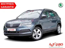 Grau Gebraucht 2020 Skoda Karoq SUV | 23.990 € (Fairer Preis)