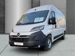 Kaolin weiss Neu 2024 Opel Movano Edition Van | 39.996 € (Teuer)