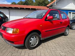 Rot Gebraucht 1995 VW Polo Kleinwagen | 950 €