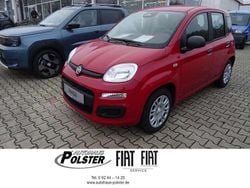 Passione rot Neu 2025 Fiat Panda Icon Limousine | 15.480 € (Fairer Preis)