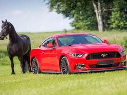 Rot Gebraucht 2015 Ford Mustang GT Premium Fastback | 28.899 € (Guter Preis)