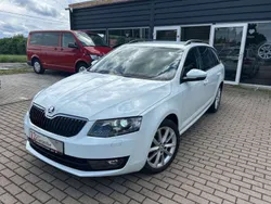 Weiß Gebraucht 2016 Skoda Octavia Kombi | 12.990 € (Fairer Preis)