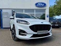 Frostweiß Gebraucht 2021 Ford Kuga ST-Line X SUV | 24.990 € (Teuer)