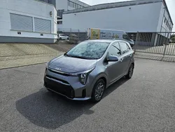 Grau Gebraucht 2024 Kia Picanto Vision Kleinwagen | 14.970 € (Fairer Preis)