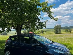 Blau Gebraucht 2009 Ford Fiesta Kleinwagen | 2.400 € (Guter Preis)