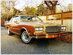 Bronze Gebraucht 1981 Chevrolet Monte Carlo Coupé | 15.900 €