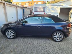 Violet Gebraucht 2012 VW Golf Cabriolet Exclusive Cabrio | 8.500 € (Fairer Preis)