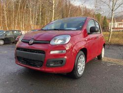 Neu 2025 Fiat Grande Panda Kleinwagen | 12.698 € (Fairer Preis)