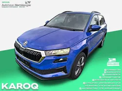 Energy blau Neu 2024 Skoda Karoq Selection SUV | 28.890 € (Superpreis)
