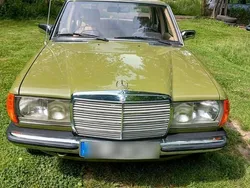 Grün Gebraucht 1982 Mercedes 200 Limousine | 13.500 €
